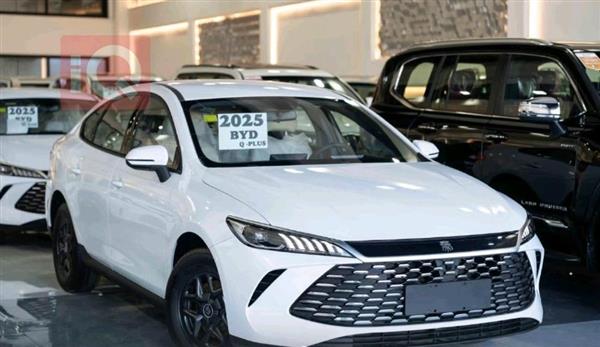 بي واي دي Qin Plus 2025 للبيع في العراق - اربيل